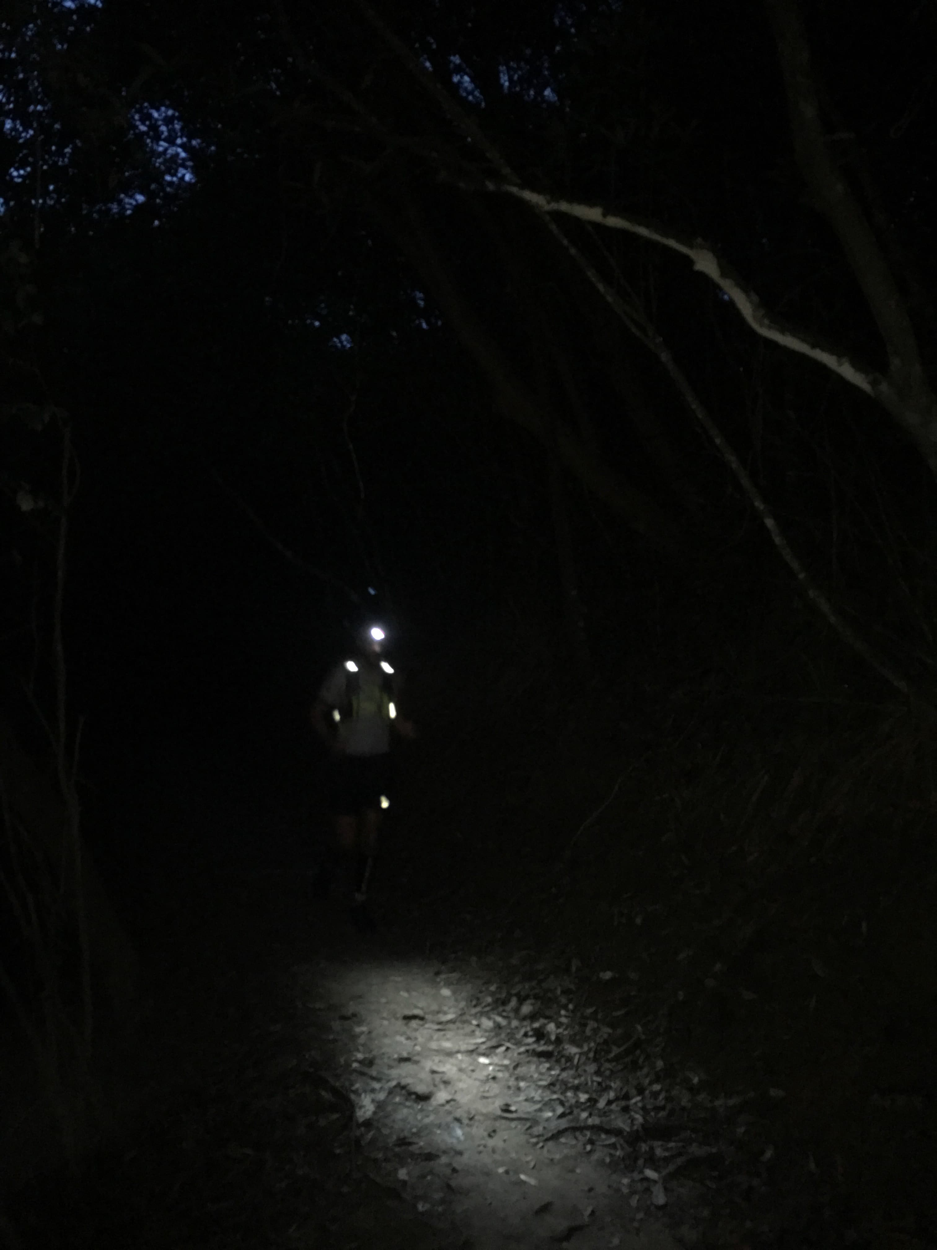 MoonTrekker 40km: Hong Kong trail running for a cause